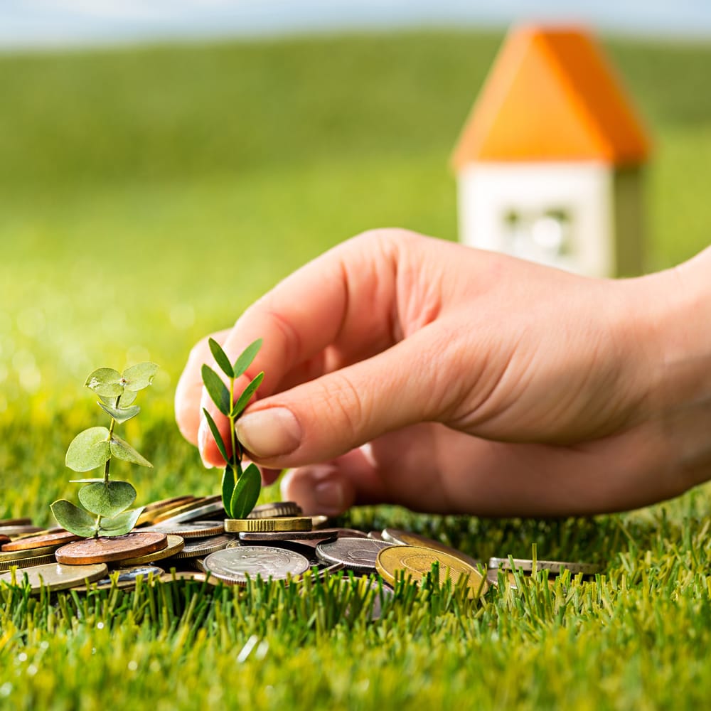 plant-growing-coins-glass-jar-money-green-grass